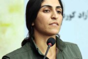 زیلان وژین در گفتگو با کیهان لندن: ایجاد جبهه دمکراتیک خلق‌های ایران از اولویت‌های ماست