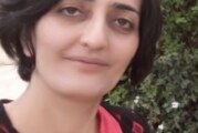 عدم حضور زنان در سیاست،‌ فرجامی ناموفق برای ایران