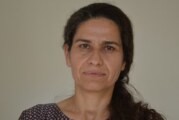 Turkey, Syria and Iran Attacking Rojava in New Concept: Ilham Ehmed